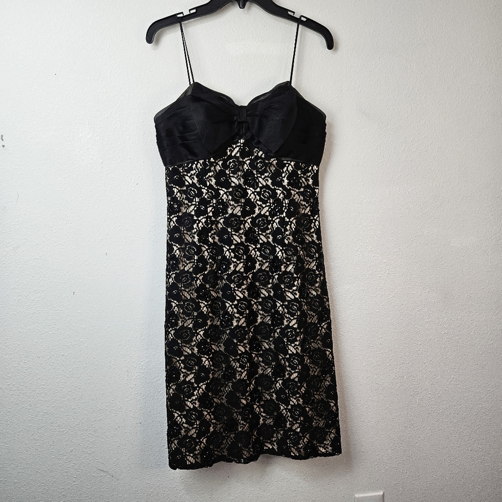 CACHET Silk Embroidered Lace Vintage Dress Size 4 Cocktail Party Holiday